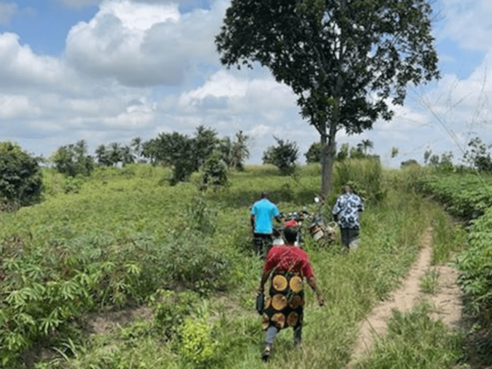 Il nuovo progetto: la fattoria&nbsp;sociale
